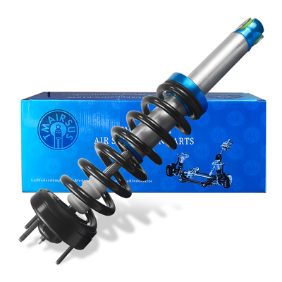 Otomobil Otomobil Hava Süspansiyonu Şok emici BL3Z-18124-H BL3Z-18124-J ASH-12262 F150 2010-2016 için Hava Strut Ön Şok emici