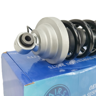OEM 420412019AG 420412020AG Audi R8 Montajlı Struts 2010-2016 için Ön Şok ve Struts Kit