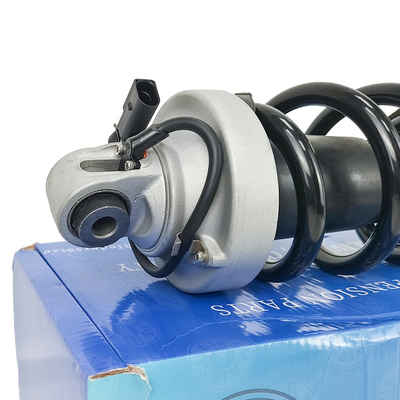 Audi R8 Ön 420412019AG 420412020AG için Otomobil Bobin Yay Şok emici Şok ve Struts Değiştirme