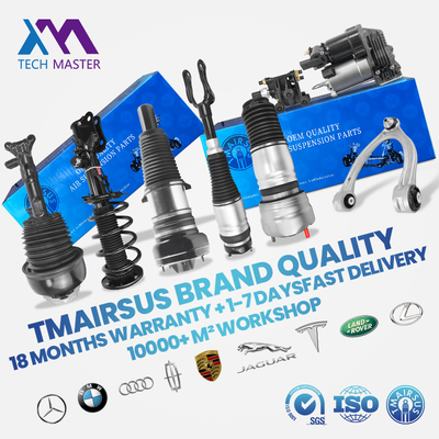Mercedes-Benz W166 için Hızlı Teslimat Arka Hava Süspansiyon Amortisörü 1663200030 1663202030
