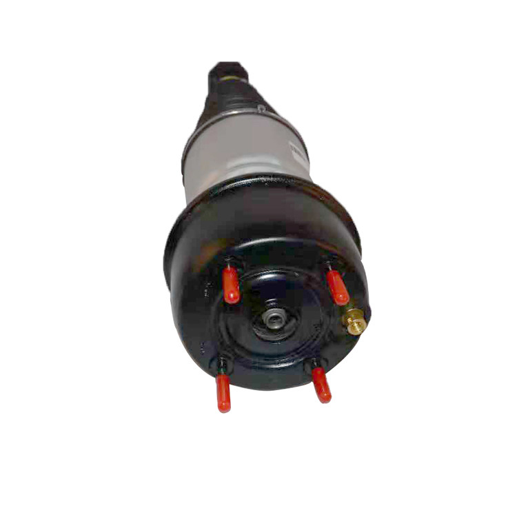 Arka Hava Süspansiyon Amortisörleri Jaguar X350 X358 XJR XJ6 XJ8 Airmatic Damper C2C41341