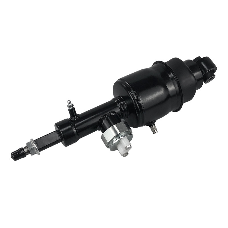 Nissan Patrol Armanda Infiniti QX80 QX56 2010-2021 için arka hava süspansiyonu şoku
