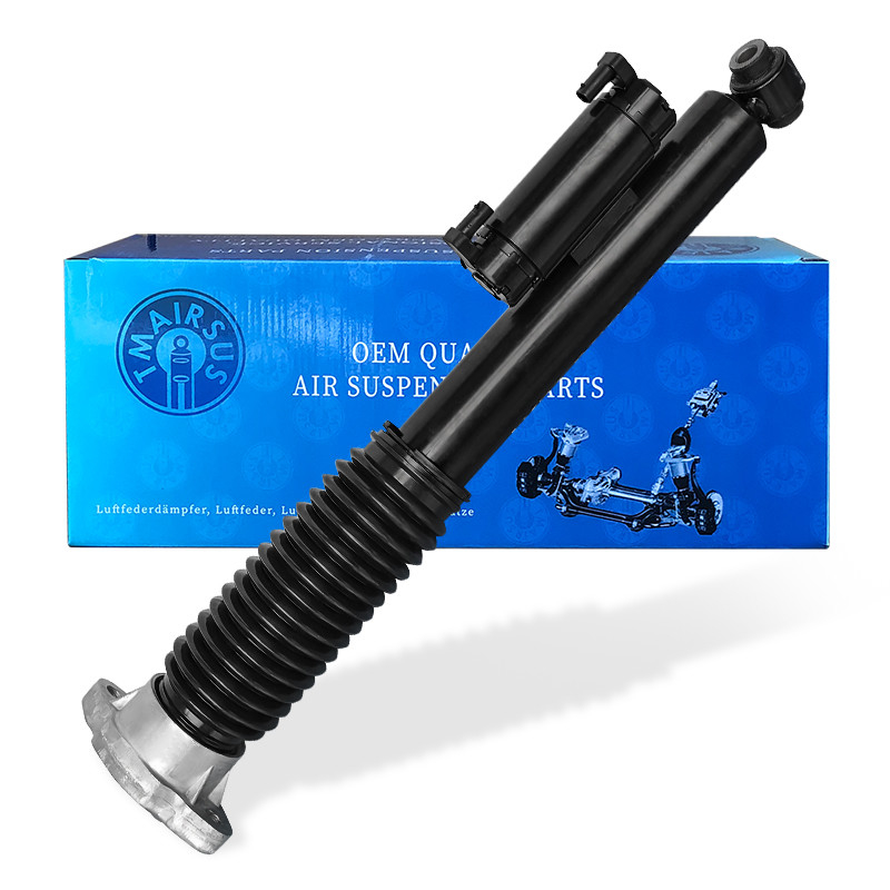 W253 hava yaylı süspansiyon şok için arka gaz şok emici 2533204500 2533205500