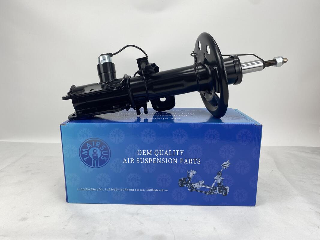 Ön sağ hava süspansiyonu kemeri OEM DA5Z18124A Lincoln MKT için 18 aylık garanti ile