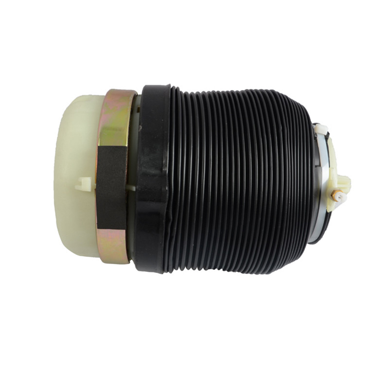 Audi A6 C6 Quattro S6 için Otomatik Süspansiyon şoku Arka sol ve sağ Quattro S6 Arka Airmatic 4F0616001 4F0616001J