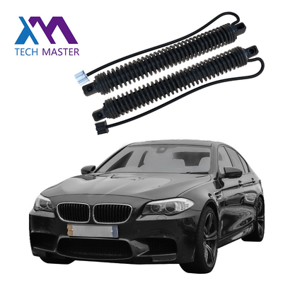51247207009 51247207010 Otomobil Parçaları Güç Bagaj Kapağı Elektrikli Bagaj Kapağı Dikmesi BMW 5 serisi F10 F18 2011-2016 LH RH