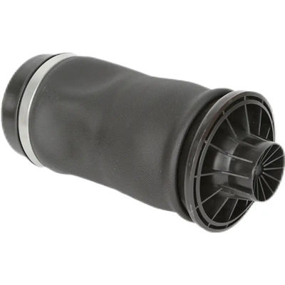 W164 için kauçuk hava balonu Arka hava süspansiyonu yayları 1643200625 2923200525