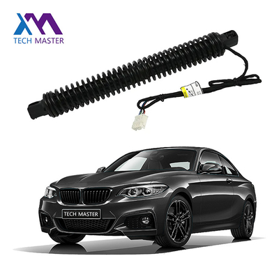 BMW 7X0LI F02 Elektrikli destekleyici 51247185714 için Spindle Drive