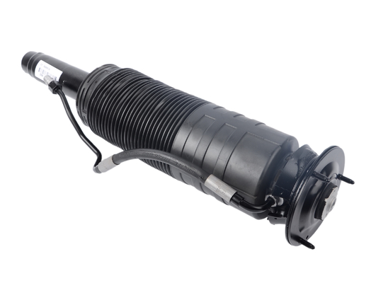 Aktif Beden Kontrolü Hidrolik Ön Şok emici 2203208313 2203208413 Kalıcı Performans için W220 W215