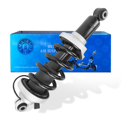 OEM 420412019AG 420412020AG Audi R8 Montajlı Struts 2010-2016 için Ön Şok ve Struts Kit
